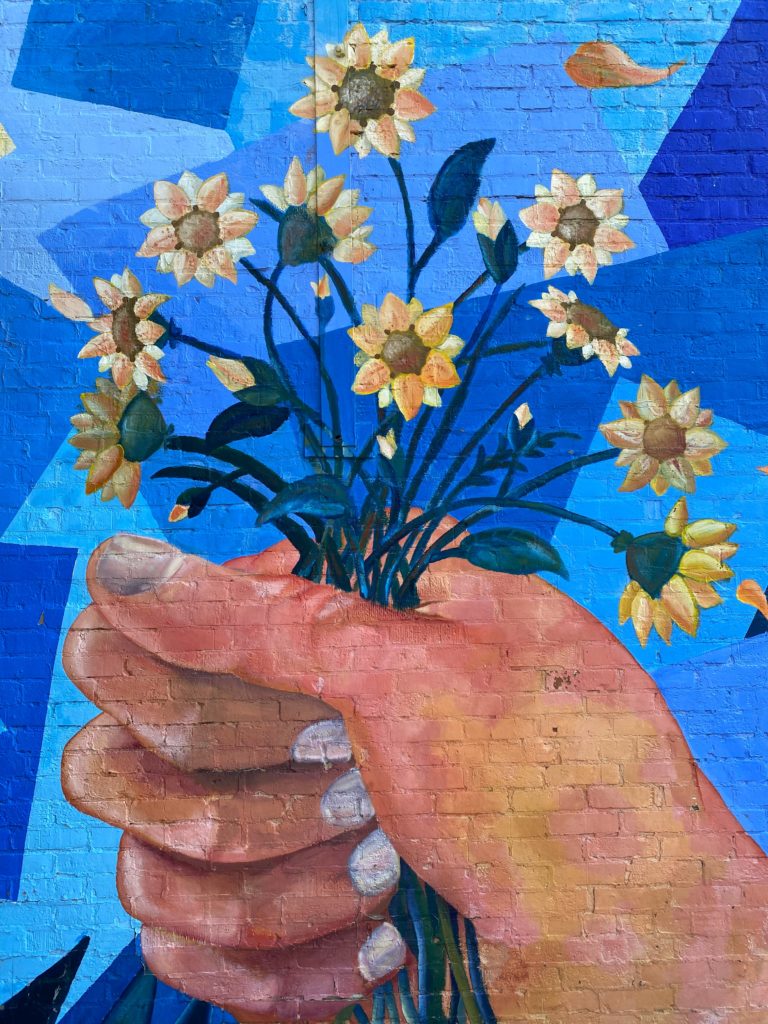Photo of a hand holding a bouquet of yellow daisies