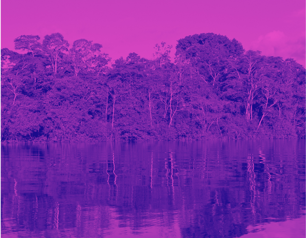 Trees reflected in a calm river. Amazon rainforest, Amazonas, Brazil.